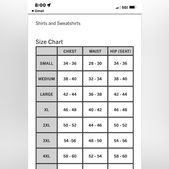 NWT CARHARTT LOOSE FIT MIDWEIGHT LOGO SLEEVE GRAPHIC HOODIE, Rose, Men’s, Small - Picture 4 of 5